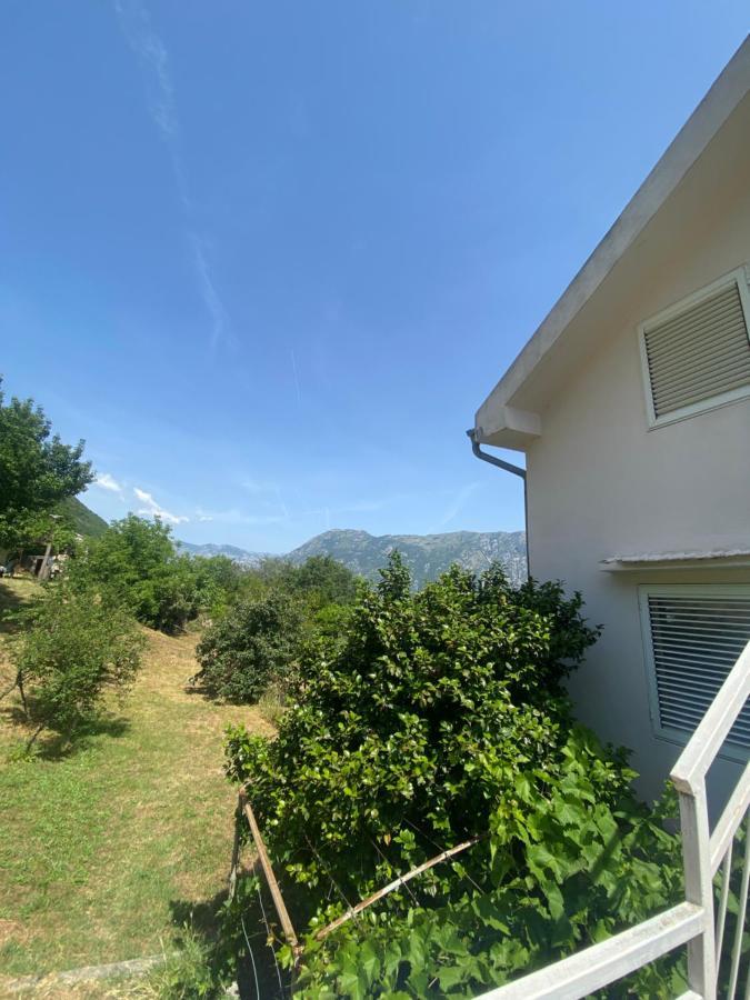 Apartments Djuricic Kotor Exterior foto
